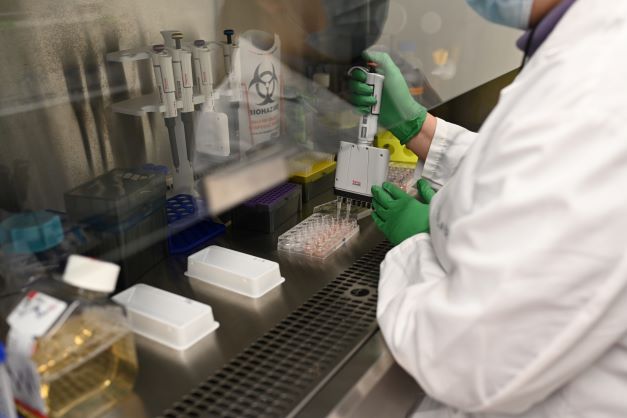 hood work in lab