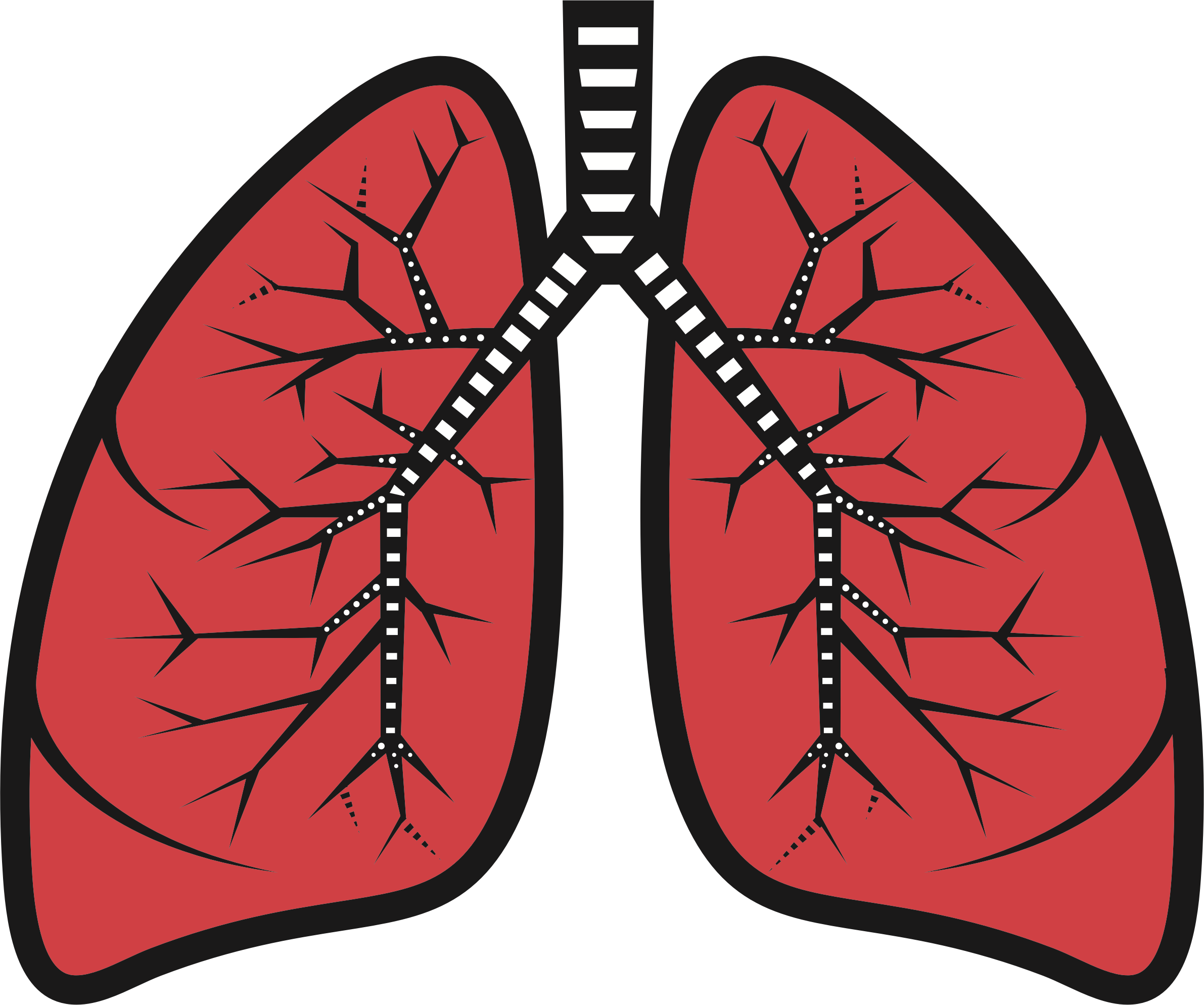 lungs