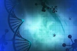 bioinformatics image